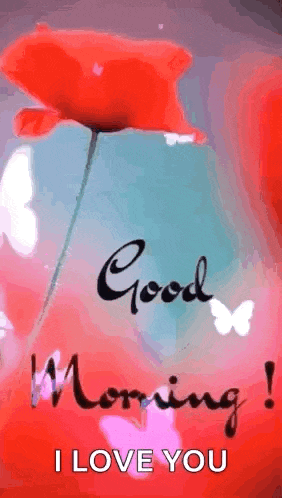 a good morning i love you gif with a red flower and butterflies .