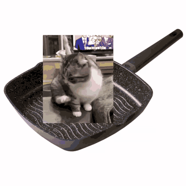 a picture of a cat in a frying pan with a picture of a group of people behind it