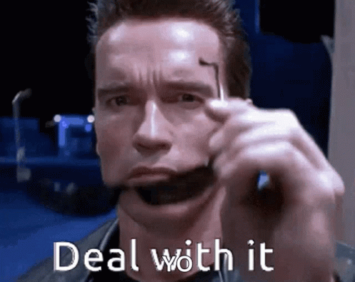 Terminator Deal With It GIF - Terminator Deal With It Whatever GIFs