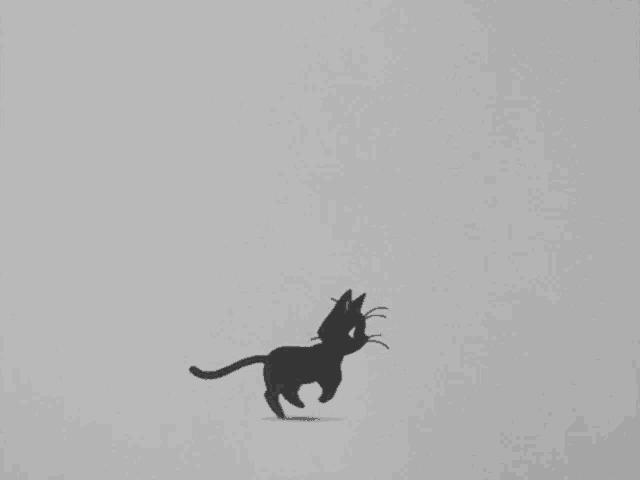a black and white drawing of a cat running on a white background
