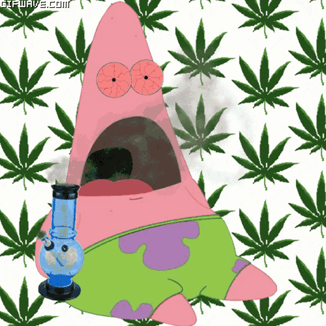 patrick star from spongebob is smoking a bong with marijuana leaves behind him