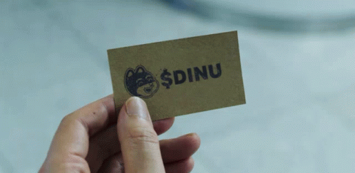 Dinu GIF - Dinu GIFs