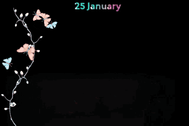 a black background with flowers and butterflies on it and the date 25 january