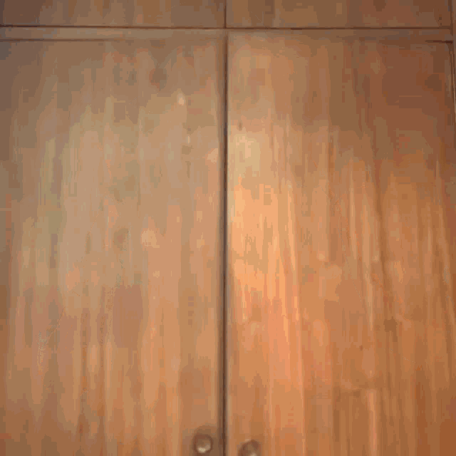 a person is standing in front of a wooden closet door .