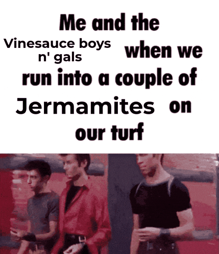 a meme that says me and the vinesauce boys n ' gals