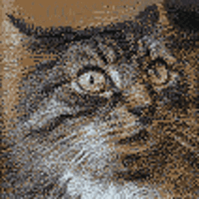 a close up of a cat 's face with a brown background .