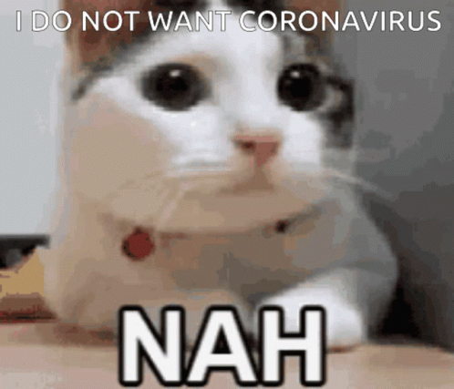 Nah Coronavirus GIF - Nah Coronavirus No Thanks GIFs