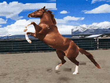 a brown horse standing on its hind legs in a dirt field