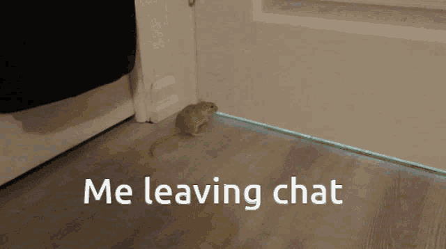 Me Leaving Chat GIF - Me Leaving Chat GIFs