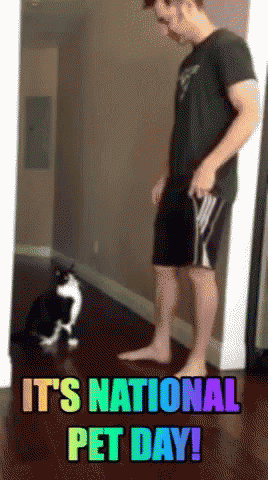 National Pet Day GIF - National Pet Day GIFs