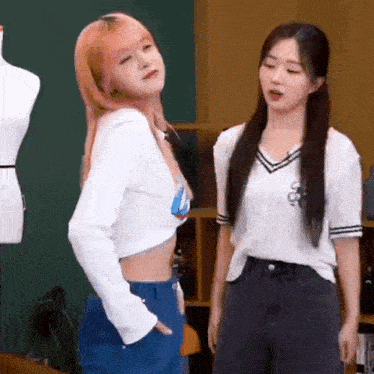 two girls are standing next to each other in a room .