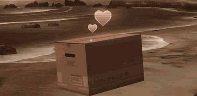a box that says ' love pack ' on it