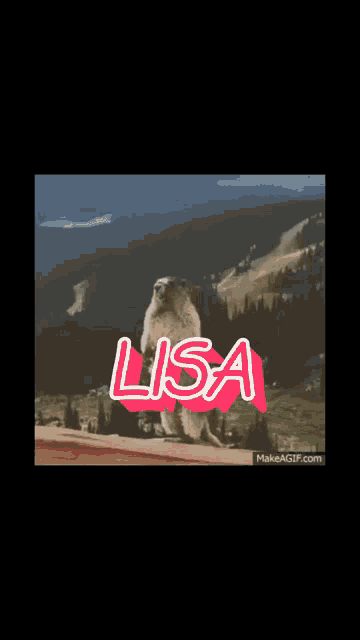 a squirrel standing on its hind legs with the name lisa on the bottom