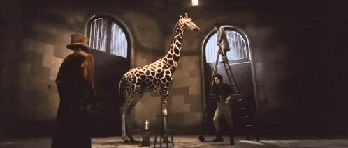 a giraffe is standing in a dark room with a stool in front of it