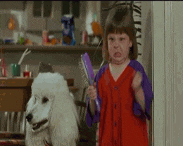 a little girl is standing next to a white poodle holding a brush and making a funny face .
