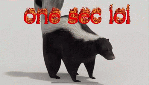 Skunk Spin GIF - Skunk Spin One Sec GIFs