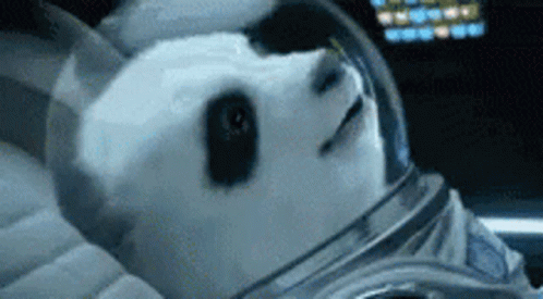 Space Launch Space GIF - Space Launch Space Panda GIFs