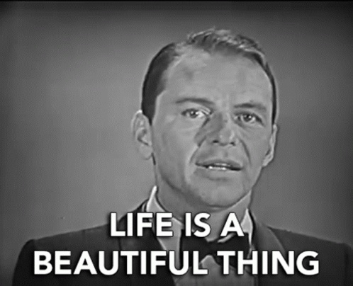 Life Is A Beautiful Thing Happy GIF - Life Is A Beautiful Thing Happy Smile GIFs