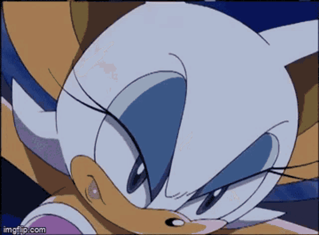 Sonic X Rouge GIF - Sonic X Rouge Rouge The Bat GIFs