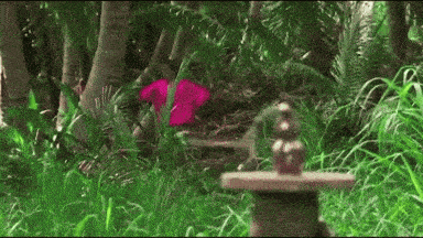a pink t-shirt is hidden in the jungle
