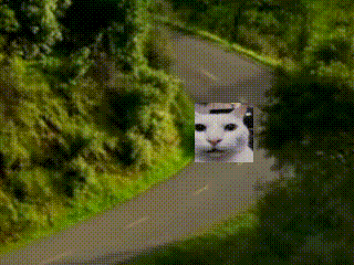 Uncanny Cat Black Filter GIF - Uncanny Cat Black Filter Cat GIFs