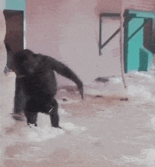 a man is standing in a flooded room with his arms outstretched in the water .