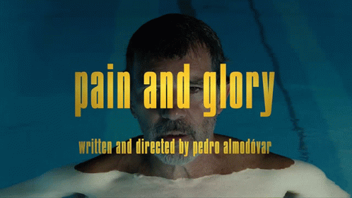Pain And Glory Antonio Banderas GIF