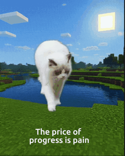 a picture of a cat with the words " the price of progress is pain " above it