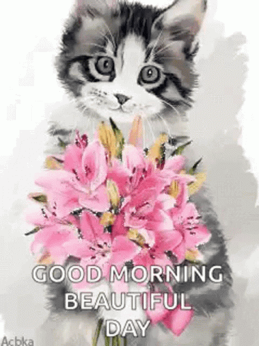 Good Morning Beautiful Day Kitten GIF - Good Morning Beautiful Day Kitten Sparkles GIFs