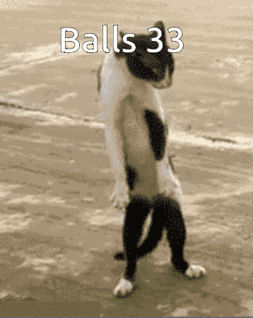 Balls 33 GIF - Balls 33 GIFs