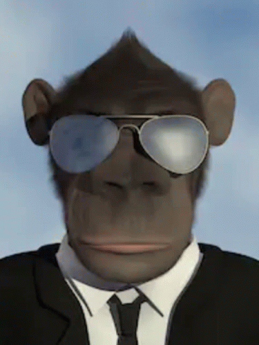 Monkey Cool GIF - Monkey Cool Majom GIFs