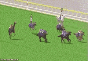 Yes Funny GIF - Yes Funny Race GIFs
