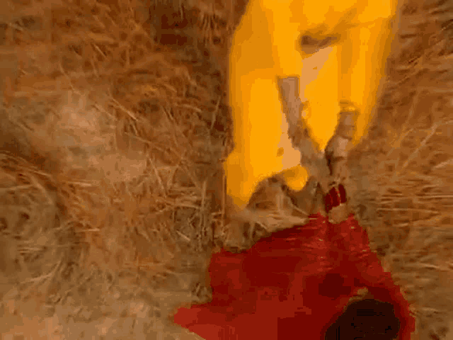a woman in a red dress is laying in a hay bale .