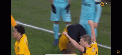 Wolves Willy Boly GIF - Wolves Willy Boly Happy GIFs