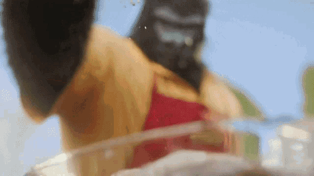 Baboongang Gorilovacka GIF