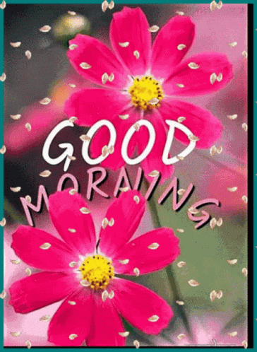 Good Morning Blessings GIF - Good Morning Blessings Happy Sunday GIFs
