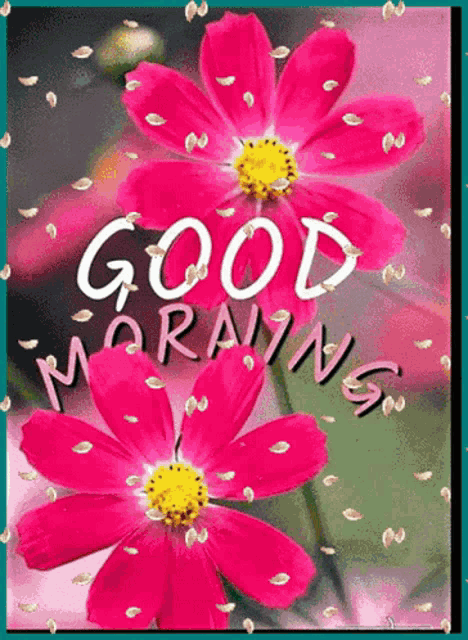 a good morning card with pink flowers and petals