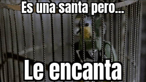 a bird in a cage with the words es una santa pero