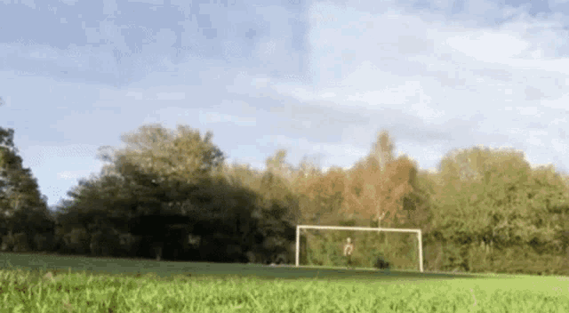 a soccer goal is in the middle of a grassy field
