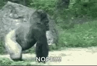 Nope Gorilla GIF - Nope Gorilla GIFs