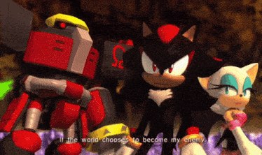 shadow the hedgehog and rouge the bat are standing next to each other in a video game