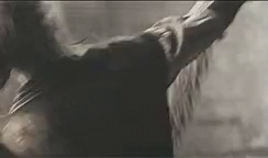 Nightmare Witch GIF - Nightmare Witch Indian GIFs