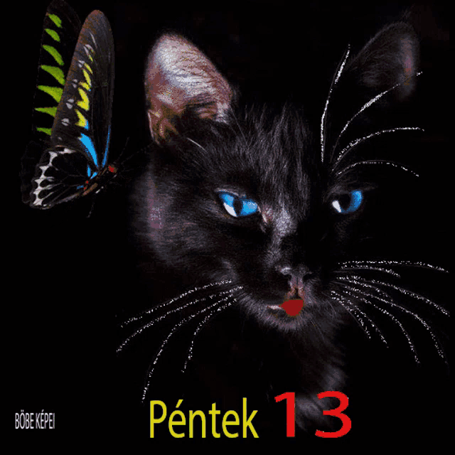 a black cat with blue eyes is surrounded by a green and yellow butterfly and the number 13