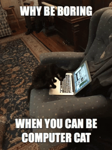 Why Be Boring Computer Cat GIF