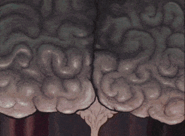 a computer generated image of a brain with a tree growing out of it