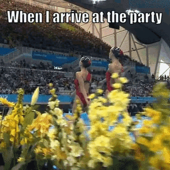 Party Arrival Party Time GIF - Party Arrival Party Time Time To Party GIFs
