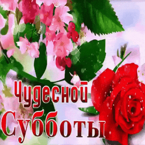 a red rose is surrounded by pink flowers and green leaves on a card