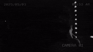 a black and white photo of a person with the words camera 01