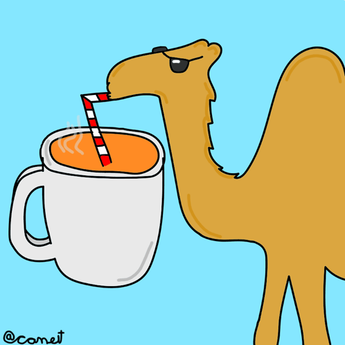 Camelt Cameltea GIF - Camelt Camel Cameltea GIFs