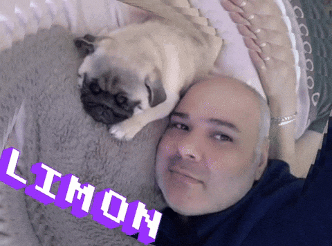 a man laying on a bed with a pug and the word limon on the bottom right